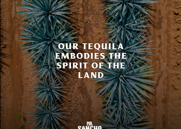 OUR TEQUILA